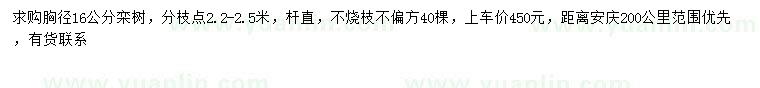 求購(gòu)胸徑16公分欒樹