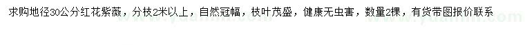 求購地徑30公分紅花紫薇