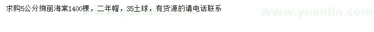 求購5公分絢麗海棠