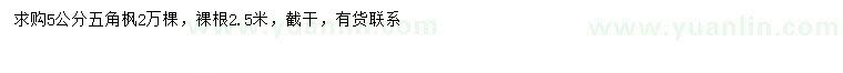 求購5公分五角楓