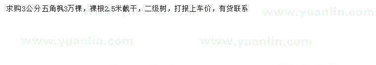 求購3公分五角楓