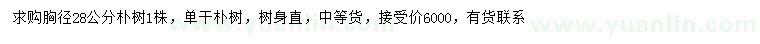 求購(gòu)胸徑28公分樸樹(shù)