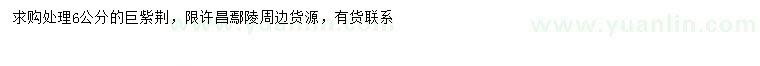 求購(gòu)6公分巨紫荊