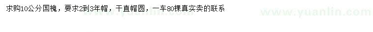 求購(gòu)10公分國(guó)槐