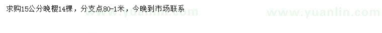 求購(gòu)15公分晚櫻