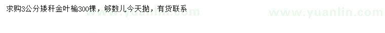 求購3公分金葉榆