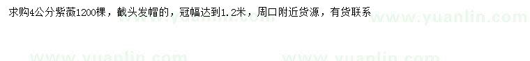 求購4公分紫薇