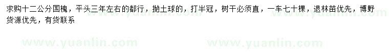 求購12公分國槐