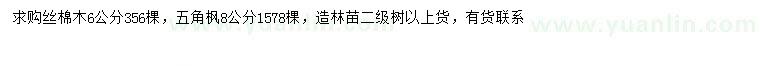 求購6公分絲棉木、8公分五角楓