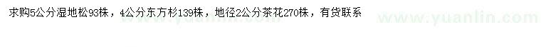 求購濕地松、東方杉、茶花