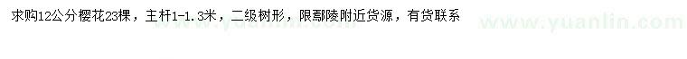 求購12公分櫻花