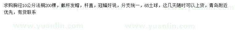 求購胸徑10公分法桐