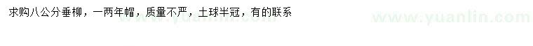 求購8公分垂柳