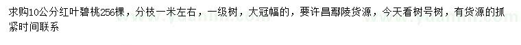 求購10公分紅葉碧桃