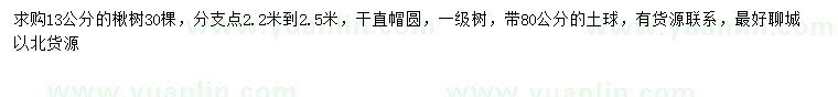 求購(gòu)13公分楸樹(shù)