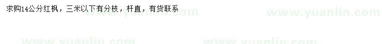 求購14公分紅楓