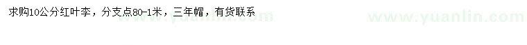 求購10公分紅葉李