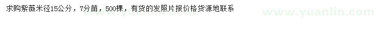 求購米徑15公分紫薇
