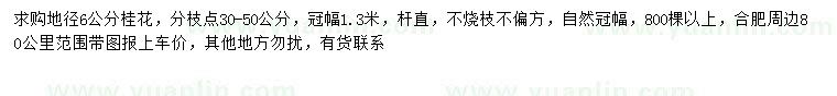 求購地徑6公分桂花