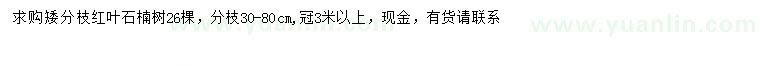求購冠幅3米以上紅葉石楠樹(shù)