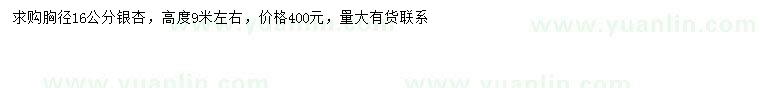 求購(gòu)胸徑16公分銀杏