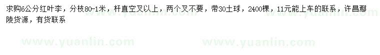 求購6公分紅葉李