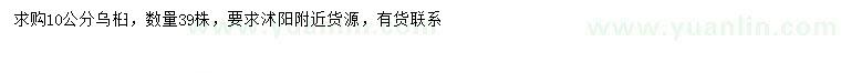 求購10公分烏桕