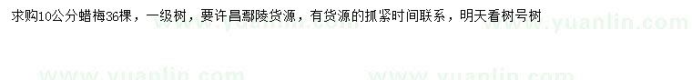求購(gòu)10公分蠟梅