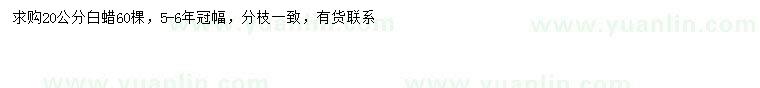 求購20公分白蠟