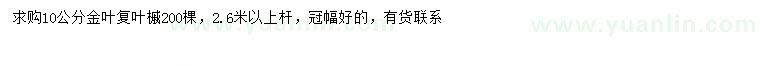 求購(gòu)10公分金葉復(fù)葉槭