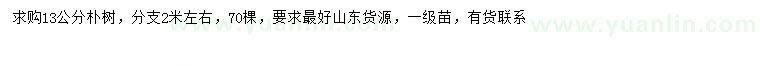 求購13公分樸樹
