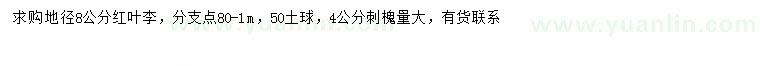 求購地徑8公分紅葉李、4公分刺槐