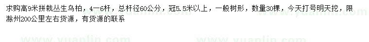 求購高9米叢生烏桕