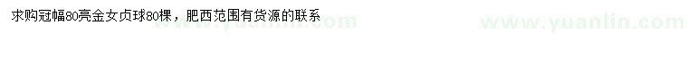 求購(gòu)冠幅80公分亮金女貞球