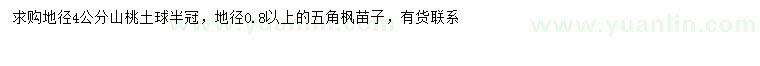 求購地徑4公分山桃、地徑0.8公分以上五角楓