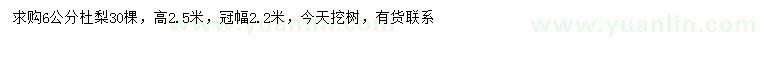 求購6公分杜梨