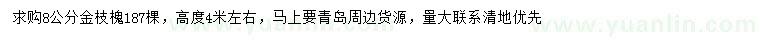 求購8公分金枝槐