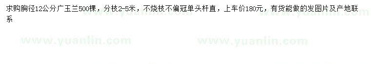 求購胸徑12公分廣玉蘭