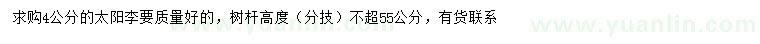 求購4公分太陽李