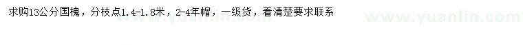 求購13公分國槐
