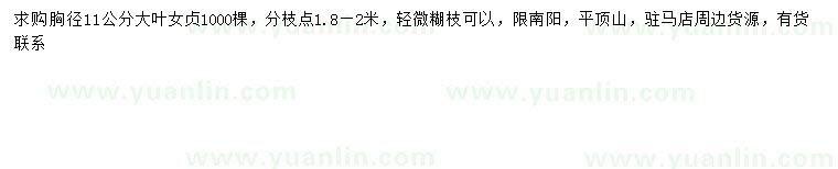 求購胸徑11公分大葉女貞