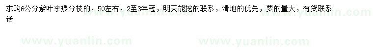 求購6公分紫葉李