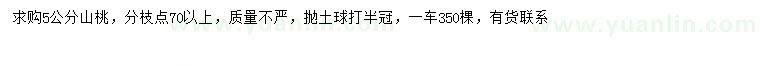 求購5公分山桃