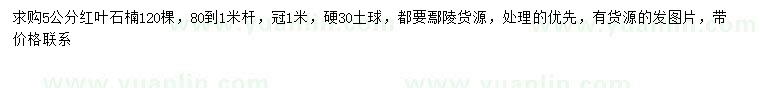 求購(gòu)5公分紅葉石楠