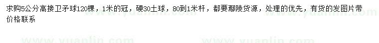 求購(gòu)5公分高接衛(wèi)矛球