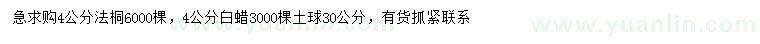 求購(gòu)4公分法桐、白蠟