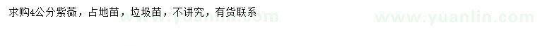 求購(gòu)4公分紫薇