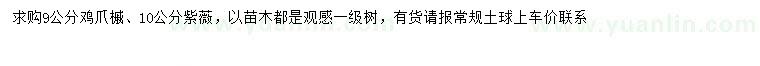求購(gòu)9公分雞爪槭、10公分紫薇