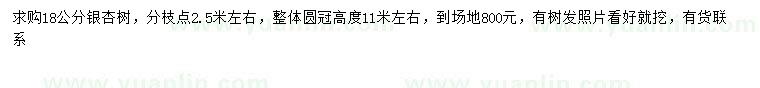 求購18公分銀杏樹