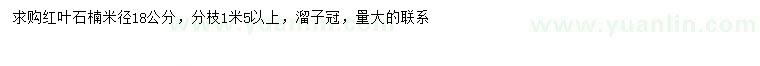 求購米徑18公分紅葉石楠